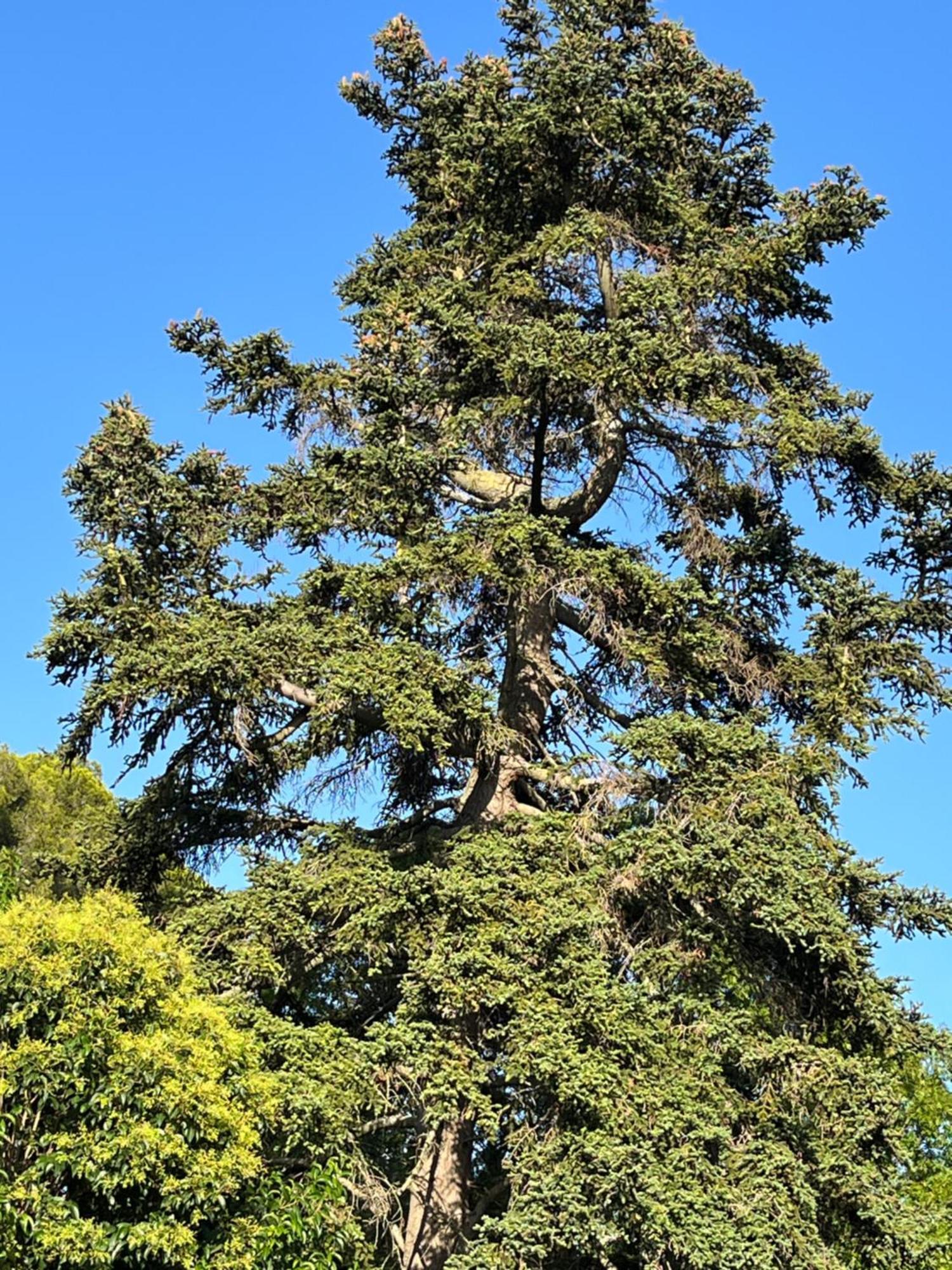 卡尔卡松罗利赛特旅馆别墅 外观 照片